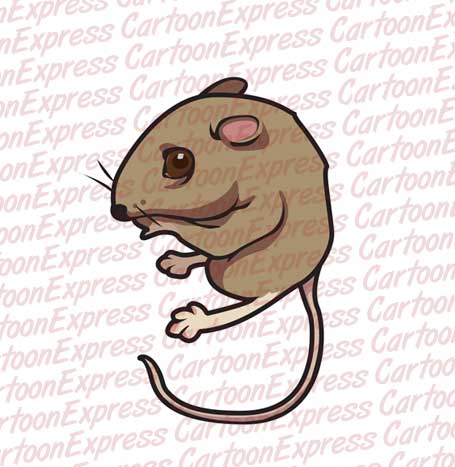mouse brown